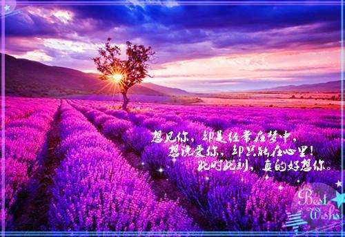 结婚周年纪念日祝福语