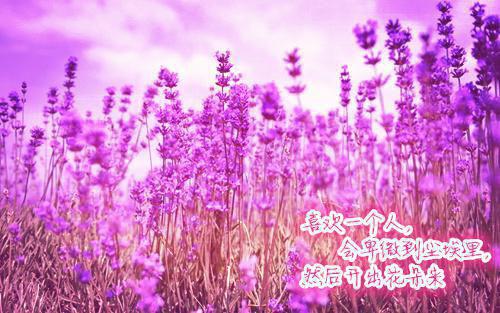 劳动最光荣的名人名言