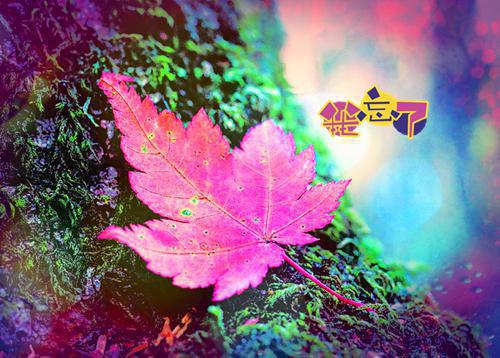 爱情之色彩与温度