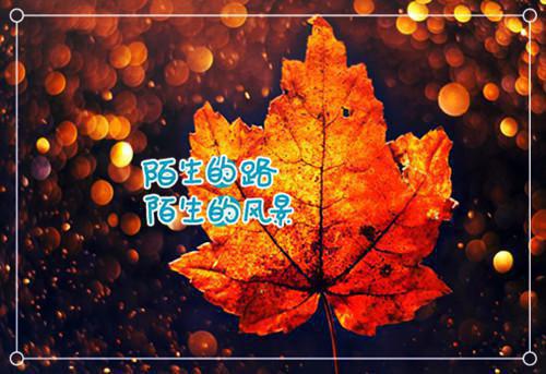 关于成功的小文章