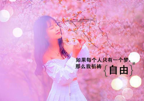 师范生顶岗实习个人总结三篇