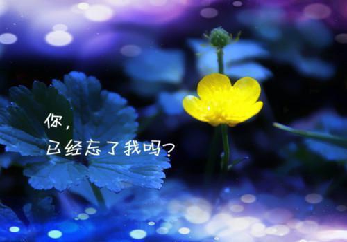 八月十五全家聚会的贺词