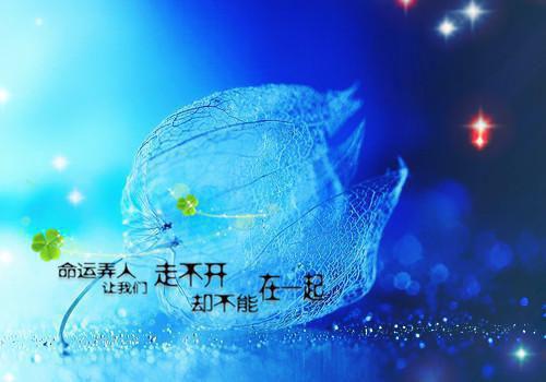 离别后的留念散文