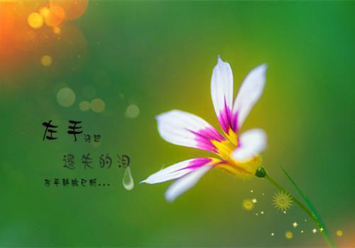 关于雪的诗句——《点绛唇·五夜光寒》