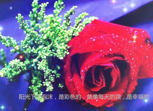 展望未来的诗句——《中吕快活三过朝天子·赏春》