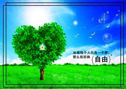 银行的实习报告范文