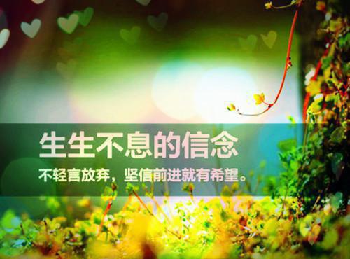 2023年初一英语教学总结
