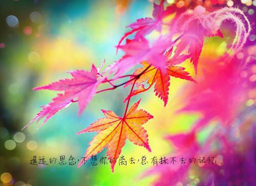 写景诗——《四气诗》