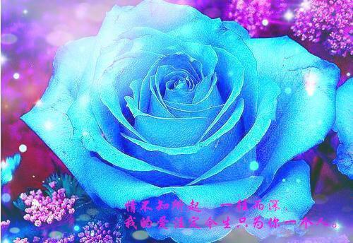 2023年班主任辞职报告