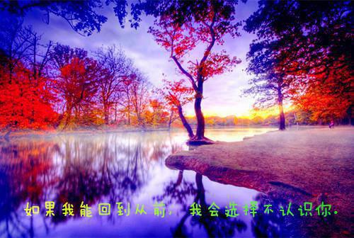 针织公司职工优秀辞职报告