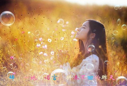 物业管理处年终总结