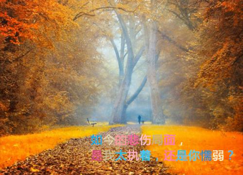 11.11光棍节问候语