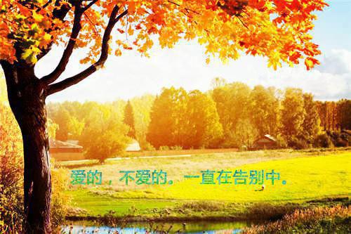 关于爱情等待的散文随笔