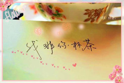 小马的睡前故事