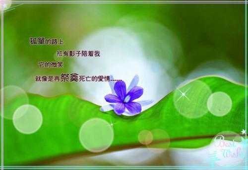 九年级班主任德育工作总结