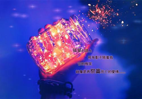 关于情书的句子字少