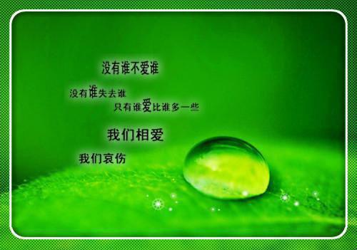 重生八零之这个少校我不娶了小说完结篇(许绍霆贺烟语)（重生八零之这个少校我不娶了）全书无套路阅读无广告小说大结局