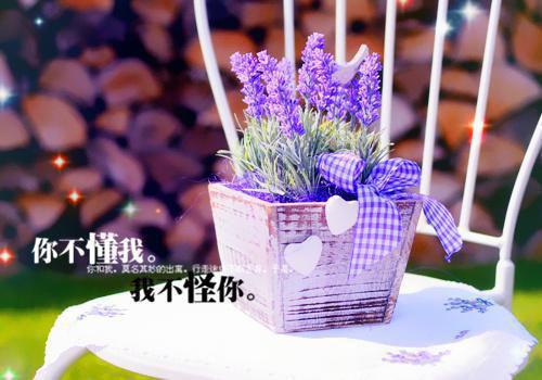 林牧也叶星晚(林牧也叶星晚)全文免费阅读大结局_(林牧也叶星晚)林牧也叶星晚免费在线阅读无删减_笔趣阁