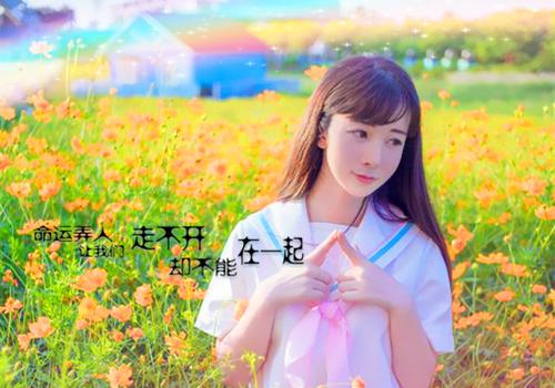 快乐男声2023几月播在哪能看