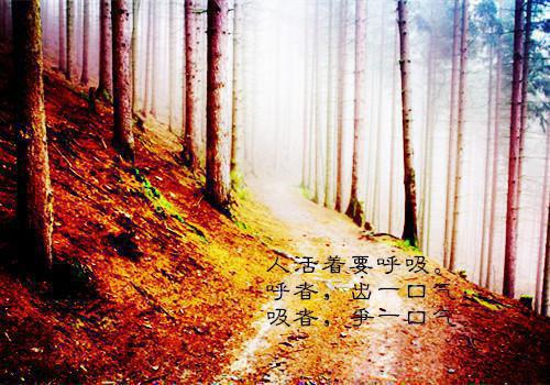 描写冬天的诗句——《雪中》