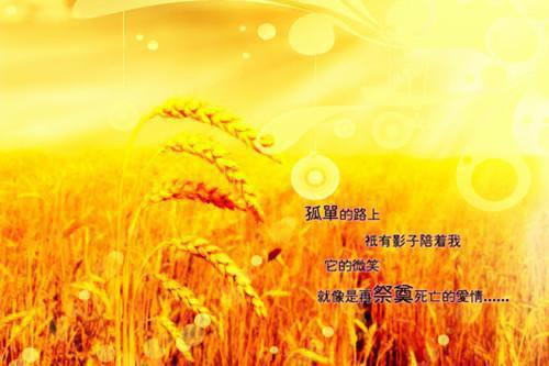 增资扩股合同