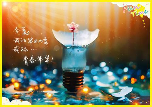 装配个人工作总结