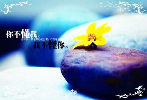 中国名人读书名言警句