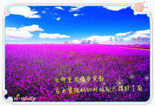 张雨雨全章节_孕妇室友当佛爷，让我帮她洗内裤小说阅读