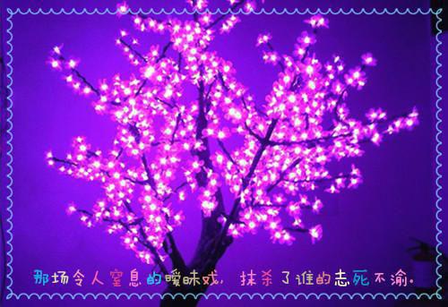 2023年六年级班务工作总结范文