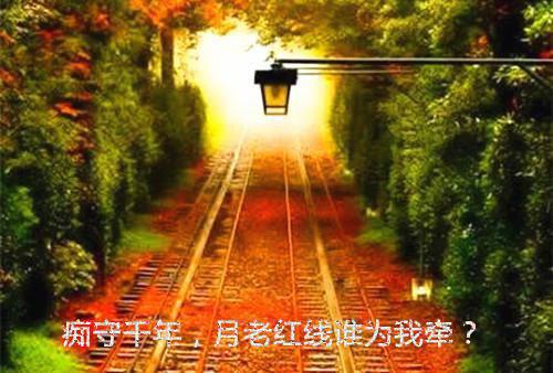 供电实习报告4篇