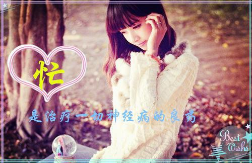 2023最好听的励志歌曲