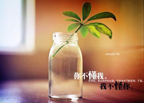 小学法制教育名言警句