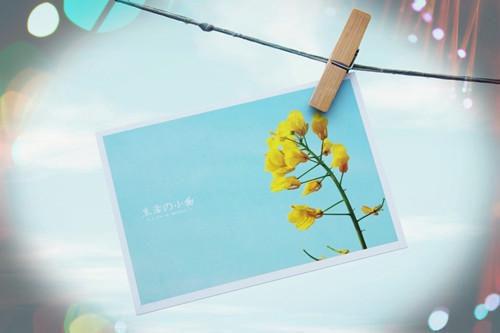 送给男生的生日祝福