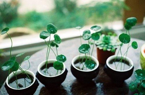 比尔盖茨十一条经典名言