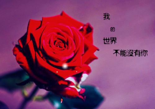 有关校园爱情的故事