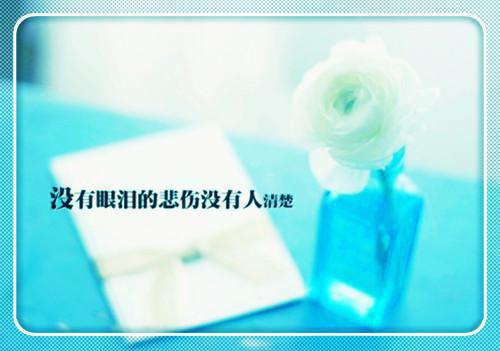 初中优美散文800字精选