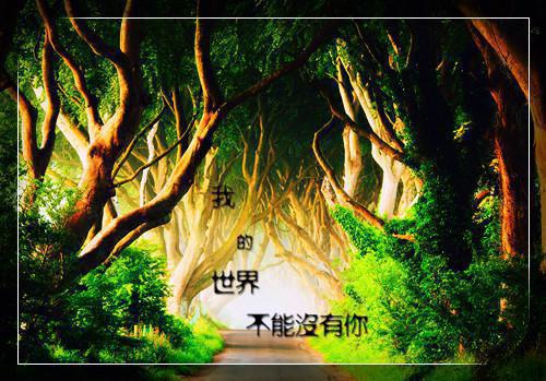最新银行柜员辞职报告范本