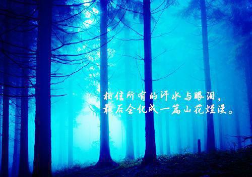 【推荐】员工辞职报告汇总6篇