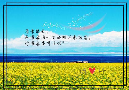 2023年最新电厂实习报告