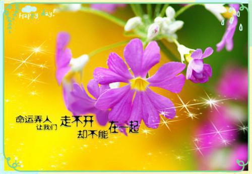 遗民忍死望恢复，几处今宵垂泪痕。