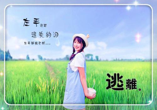 实用的会计辞职报告四篇