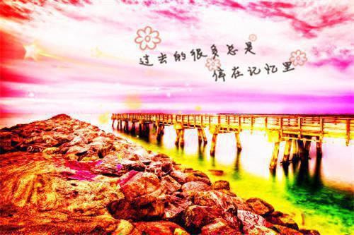 有关法律的格言警句精选
