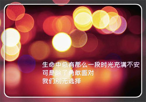 设计部工作总结