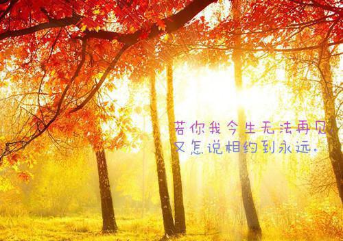 旧山松竹老，阻归程。