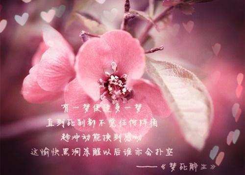 橘月特征全文免费阅读（祁叹梵小司）小说全文免费阅读无弹窗_（橘月特征）小说全文免费阅读最新章节列表笔趣阁（祁叹梵小司）