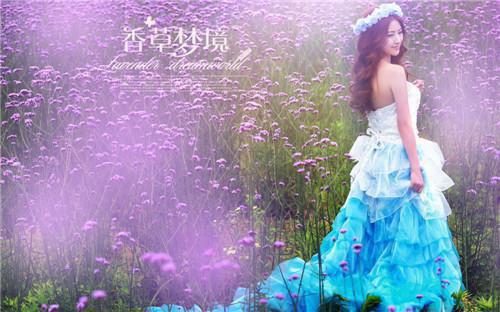 有关公司老员工的辞职报告范文