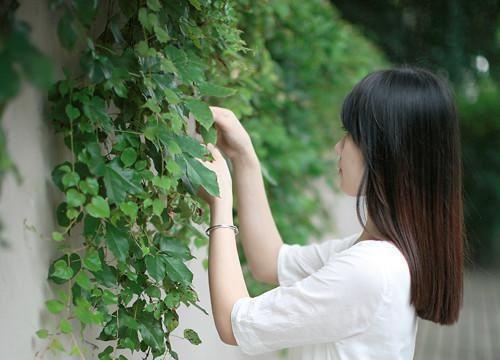三国的故事