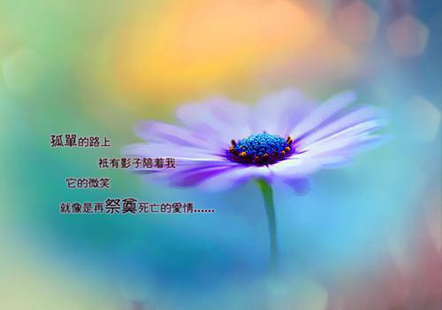 关于清明节的诗句——《长安清明》