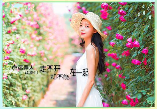 感悟人生的经典句子：在对的时间遇上对的人