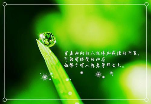 不止烟花一场，还求与你执白头